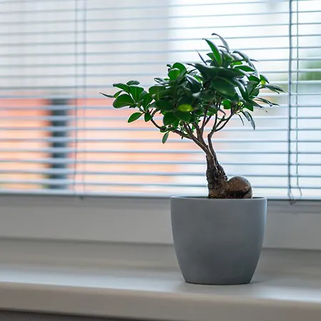 Tower Orchid & Amber Apartmán Spišská Nová Ves