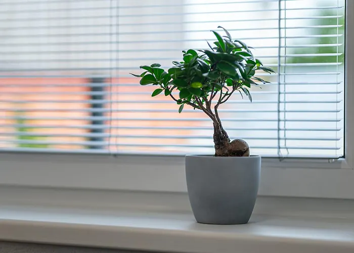 Tower Orchid & Amber Lejlighed Spišská Nová Ves